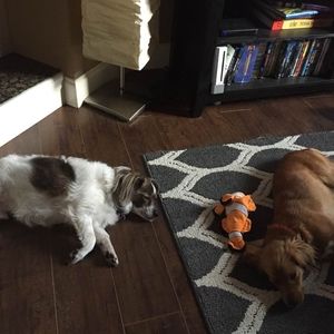 Meet your Posher, Ceci